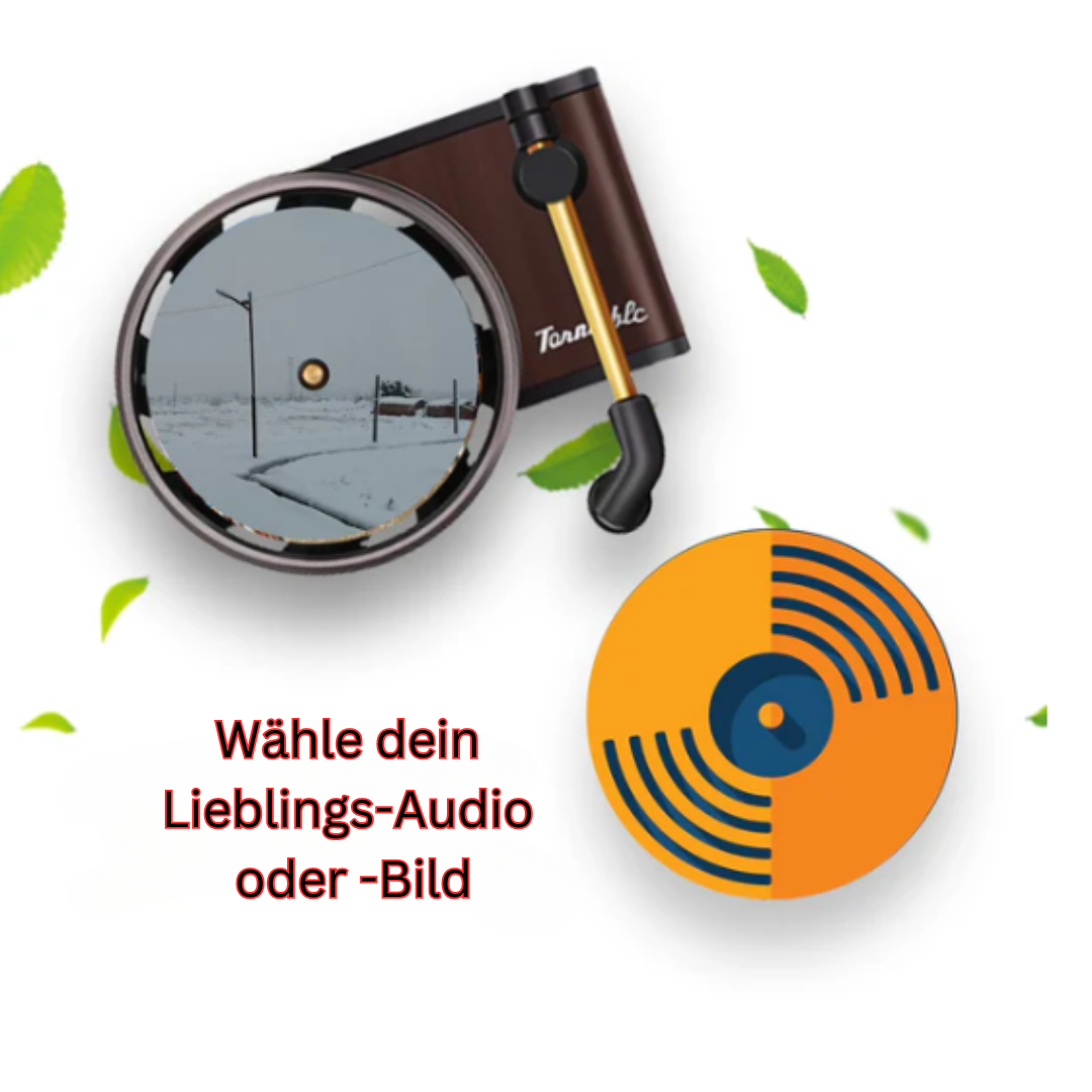 Oldies im Autolied: Custom Vinyls CD-Schallplatten-Autoparfüm